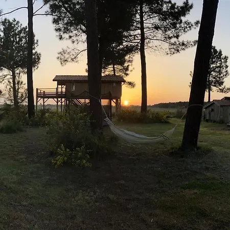 L'Observatoire De L'Aerogrange Biscarrosse Buitenkant foto