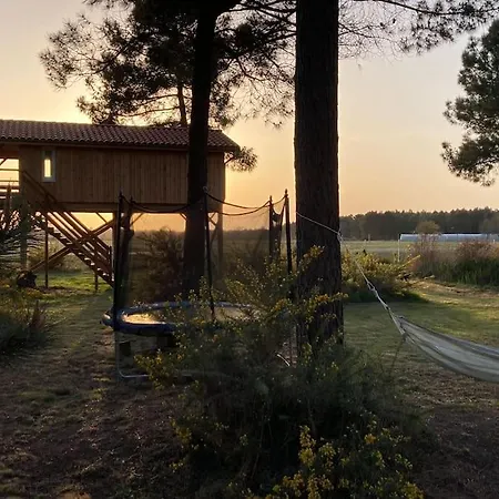 L'Observatoire De L'Aerogrange Biscarrosse Buitenkant foto