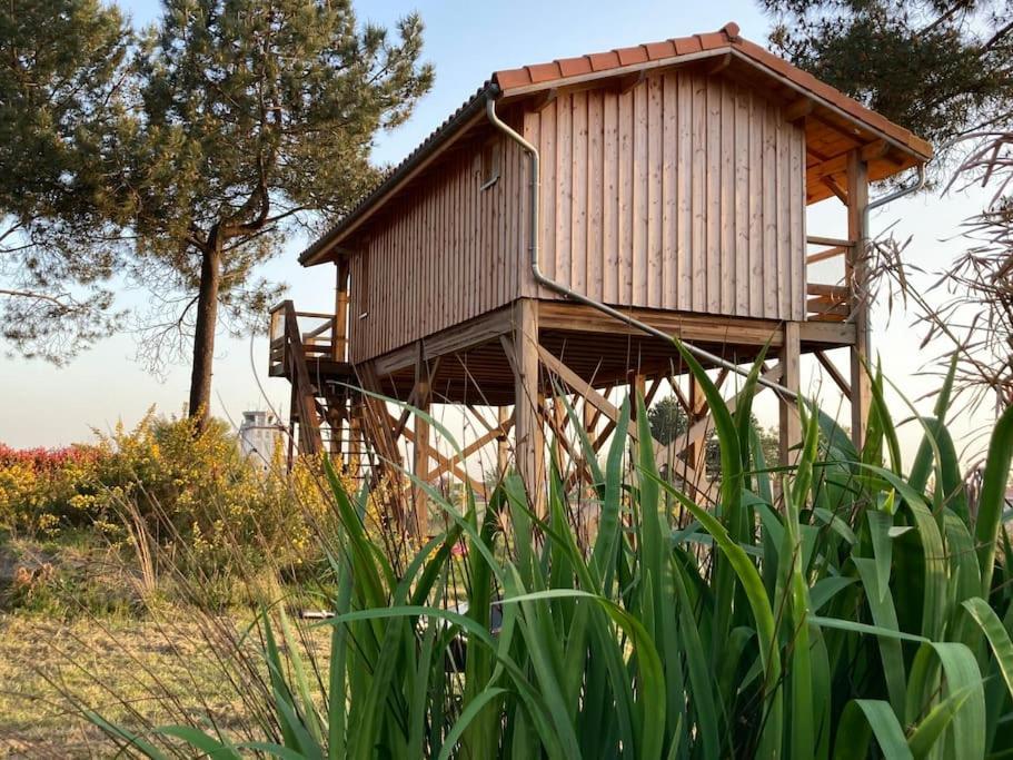 Holiday home L'observatoire De L'aerogrange Biscarrosse