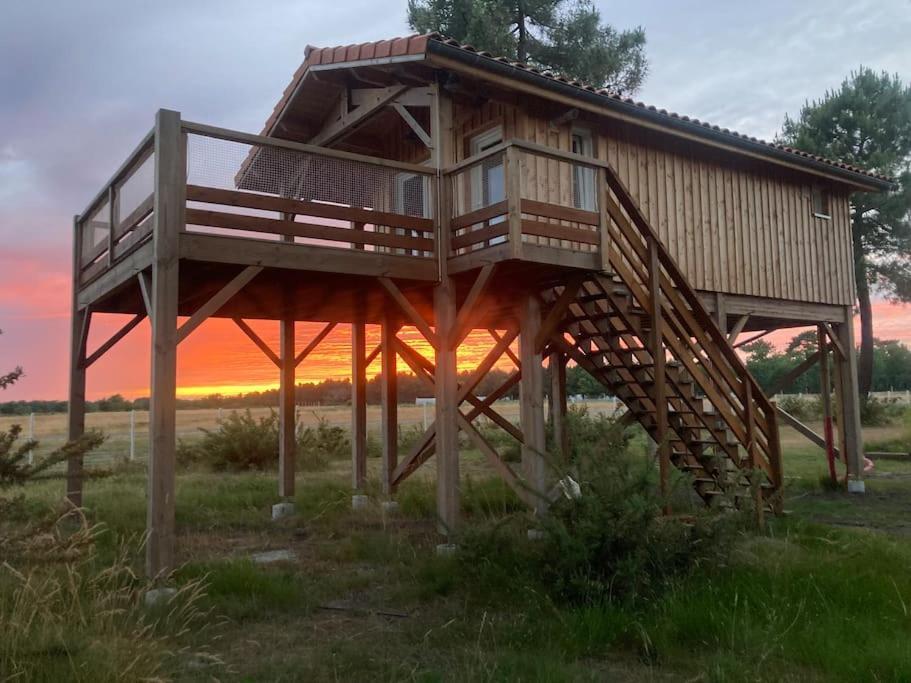 Vakantiehuis L'observatoire De L'aerogrange Biscarrosse